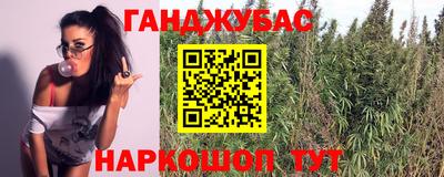 амф Заволжье
