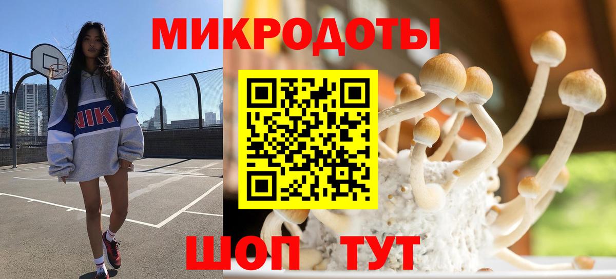 Галлюциногенные грибы Psilocybe Сунжа